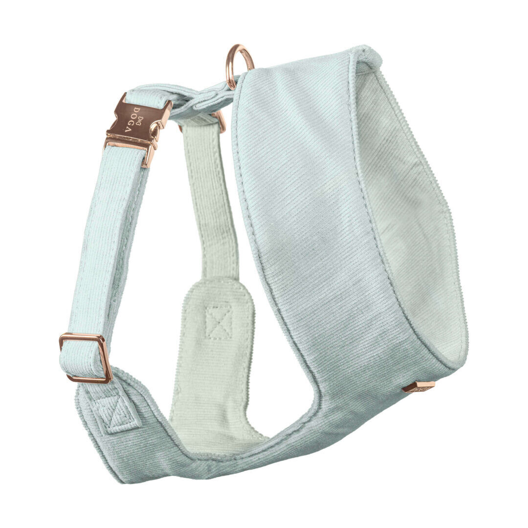 Hondenharnas Soft Minty Velvet