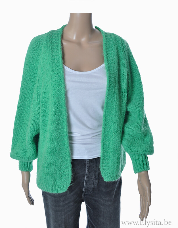 Cardigan van Wolmix | Groen