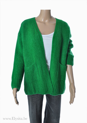 Cardigan met mohair | Groen