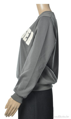 Sweater Copenhagen Tekst / Grijs
