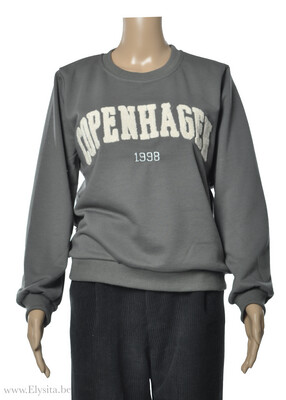 Sweater Copenhagen Tekst / Grijs