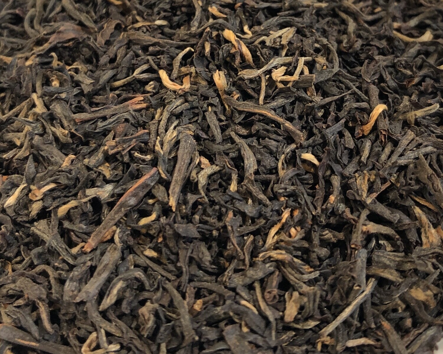 African Kenya FGOP Milima