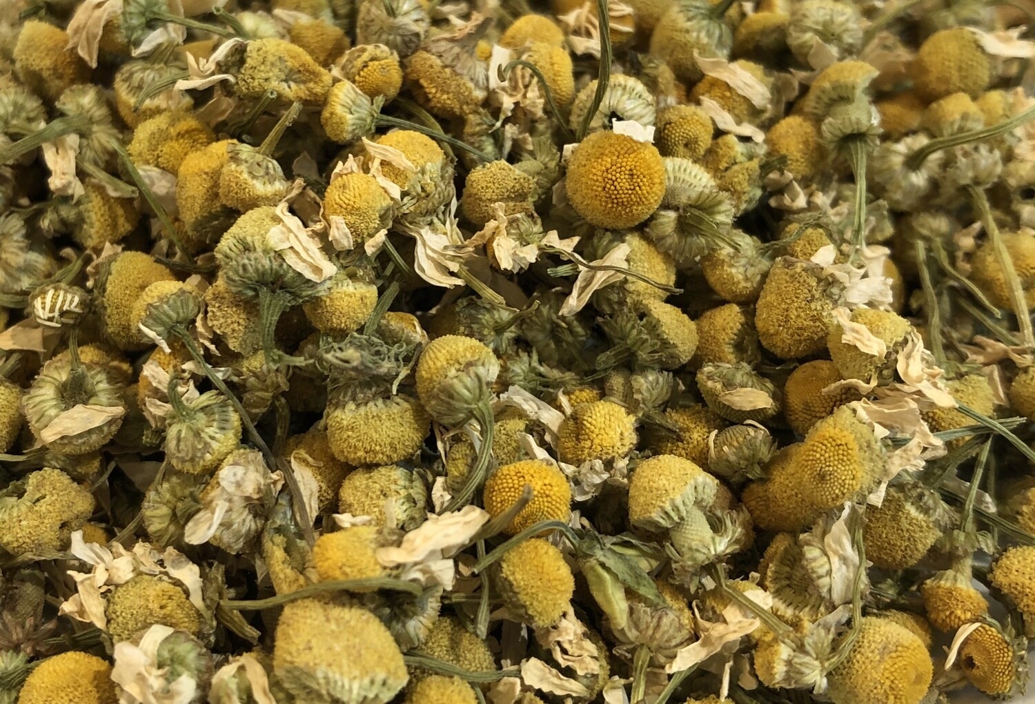Chamomile