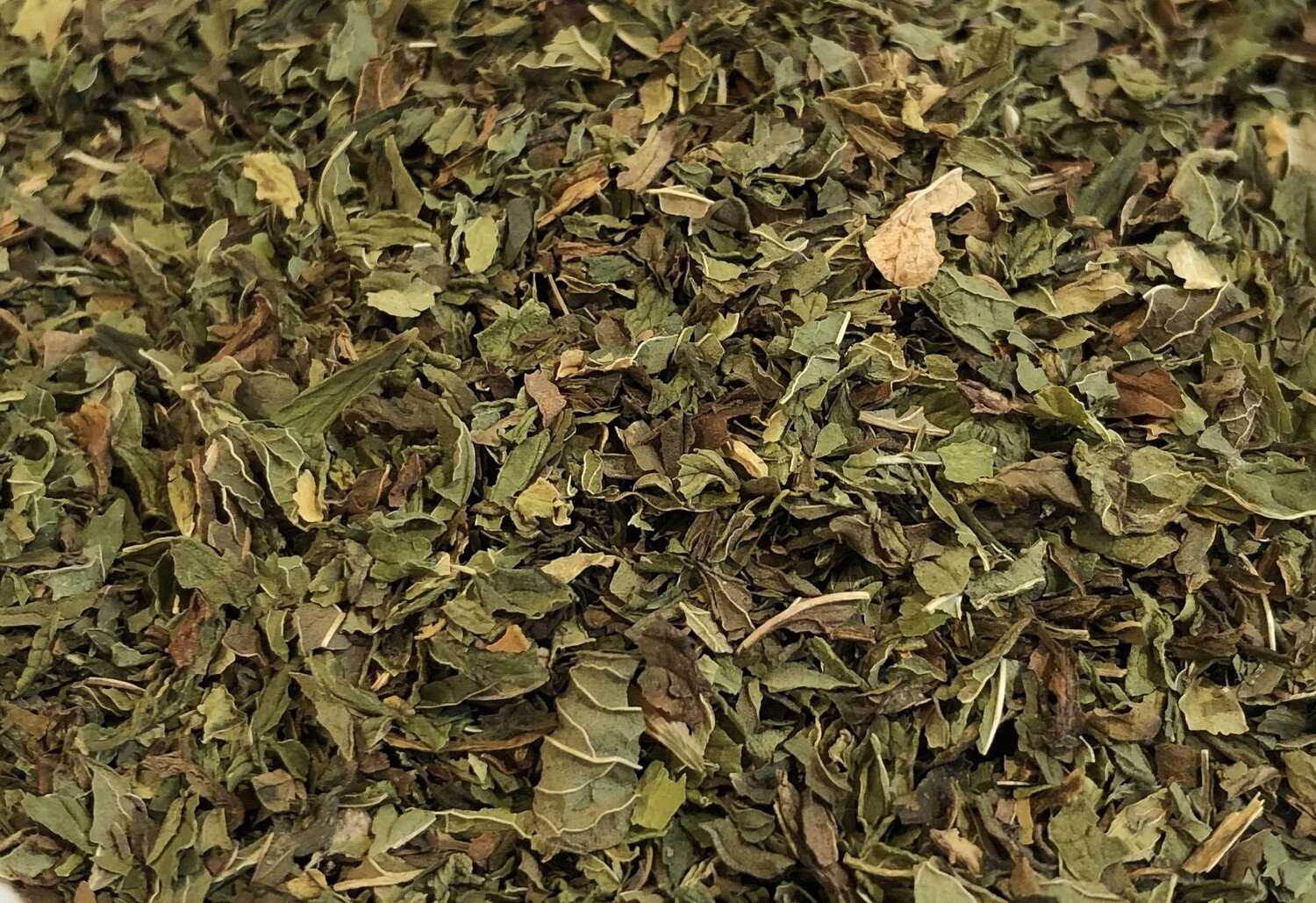 Moroccan Mint
