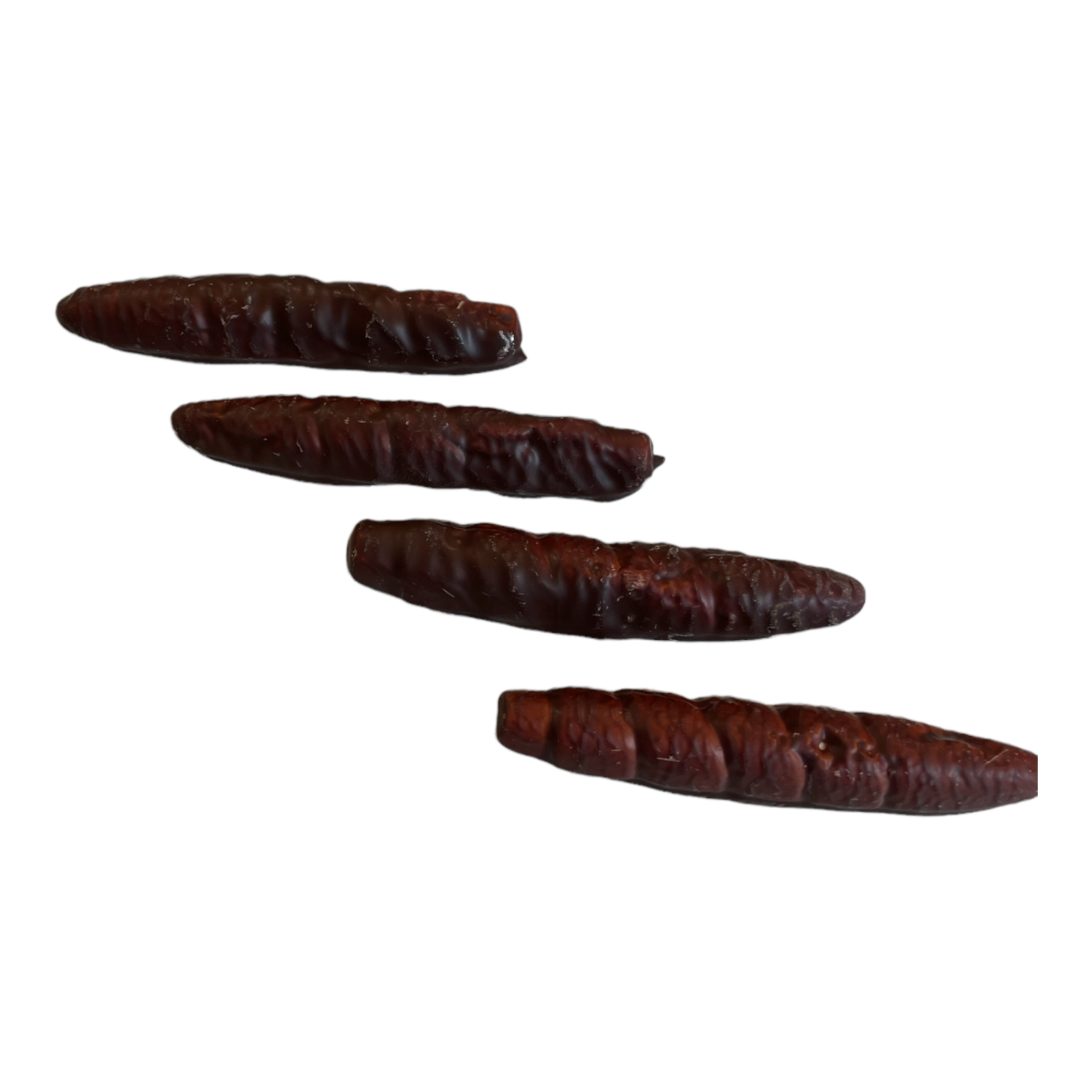 Chocolat Guimauve Cigar