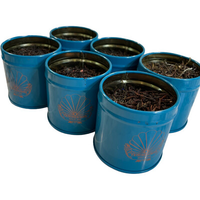 Explorer - Zwarte thee