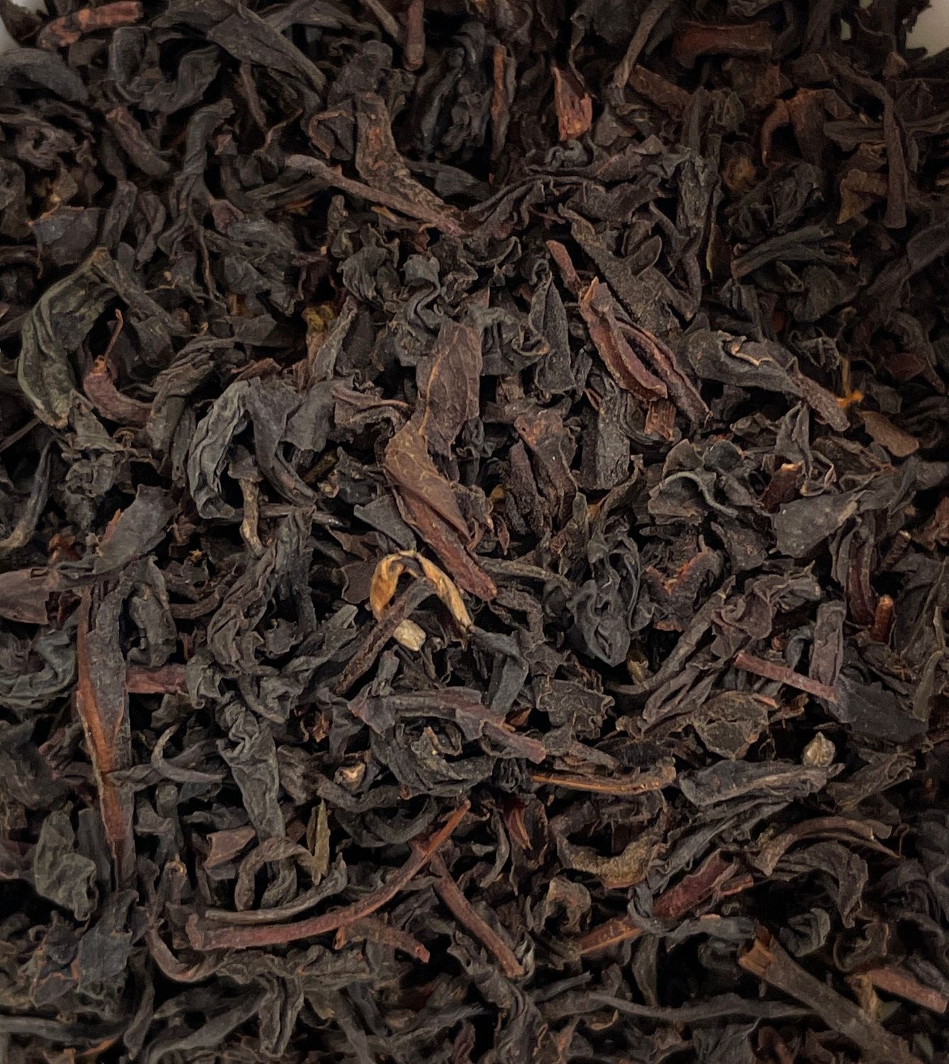 South Indian Nilgiris Glendale