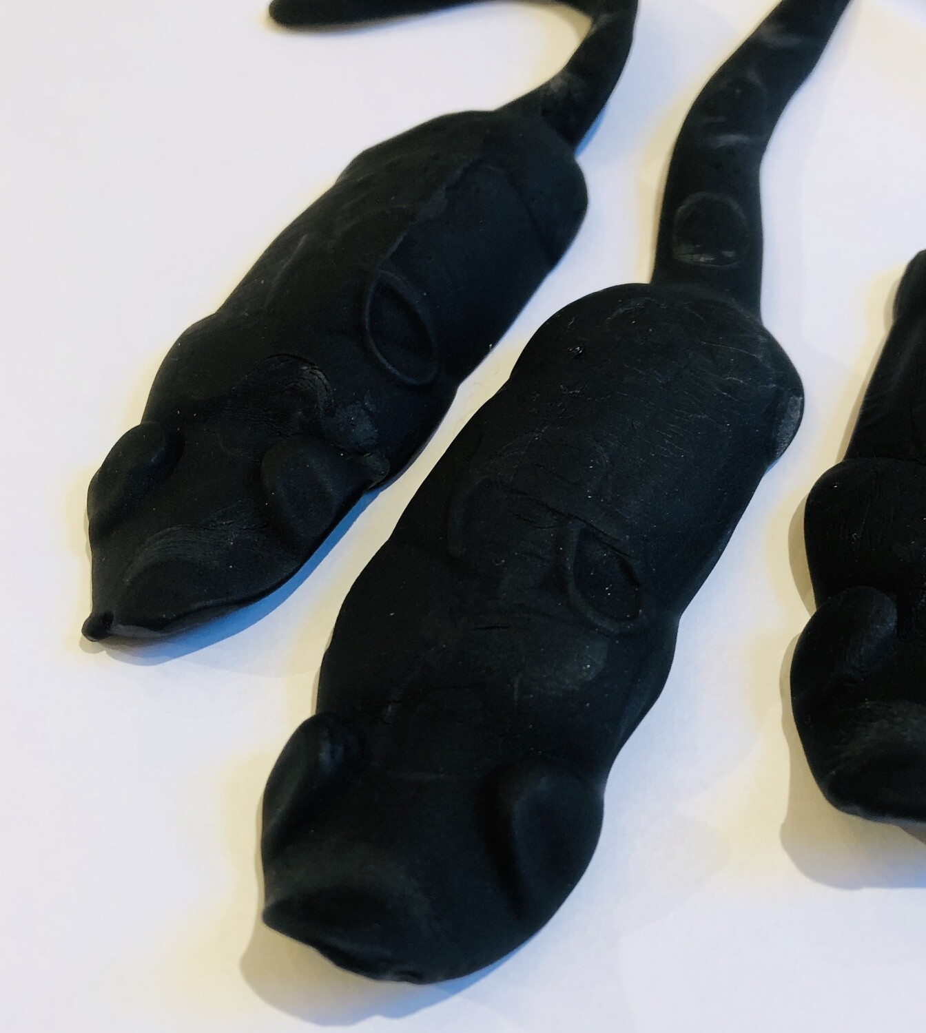 Black rats