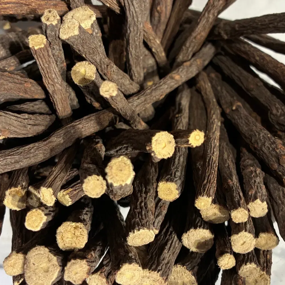 Temmerman liquorice root, the root itself, the source of the juice that gives liquorice its flavour