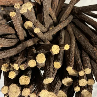 Temmerman liquorice root, the root itself, the source of the juice that gives liquorice its flavour