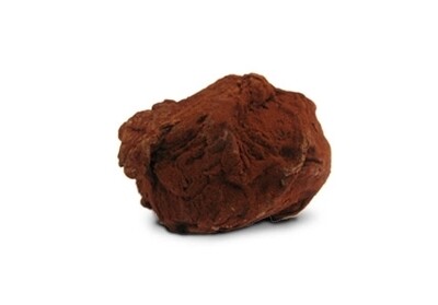 Truffe noir