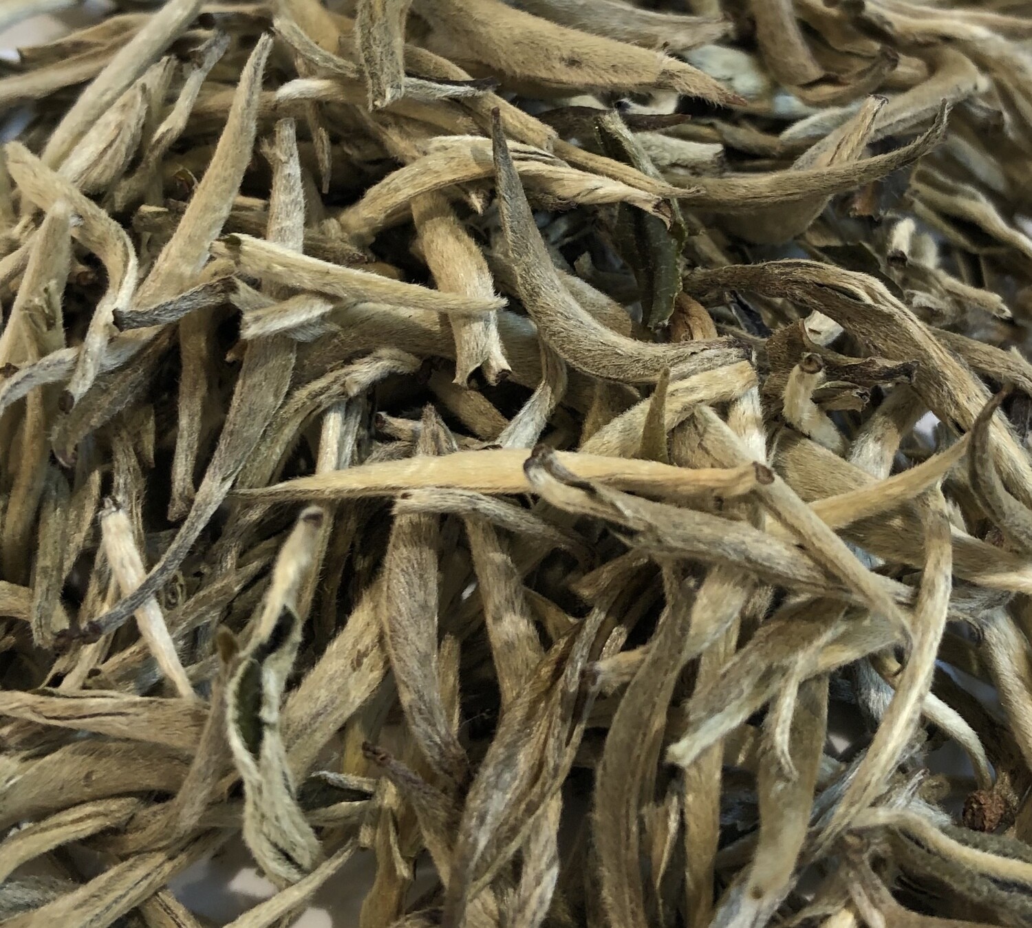 Yin Zhen Bai Mei