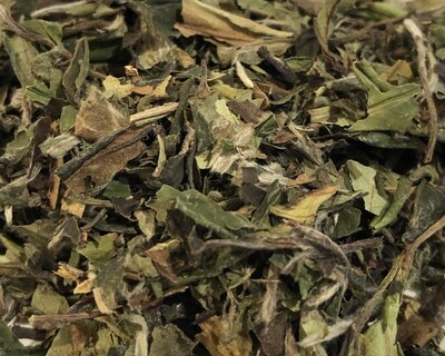 China Pai Mu Tan