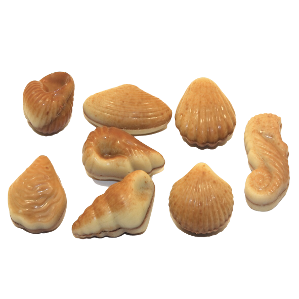 Mini Sea