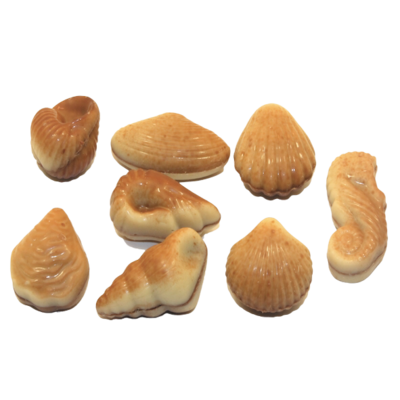 Mini Sea