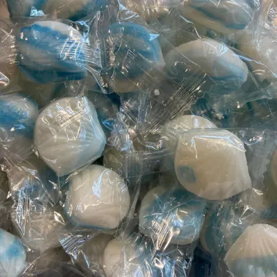 Temmerman mint shells, hard boiled mint sweets shaped like a scallop shell, in blue and white