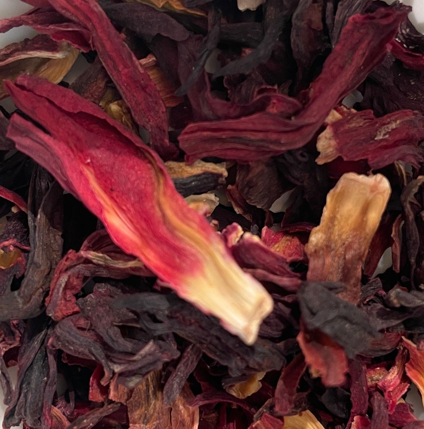 Hibiscus
