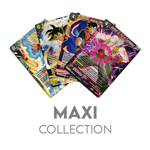 1000x DBS Cards EN