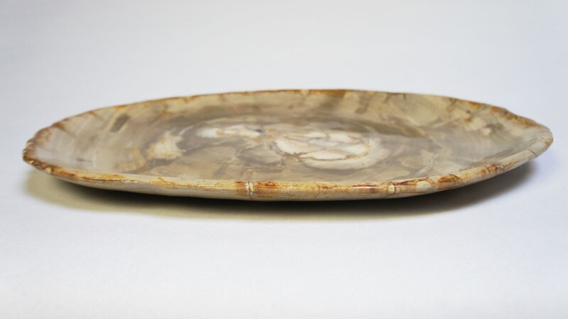 Schaal versteend hout