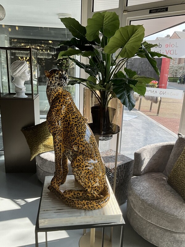 Cheetah