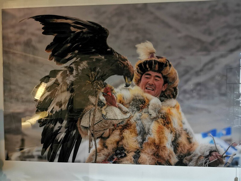 Mongolië