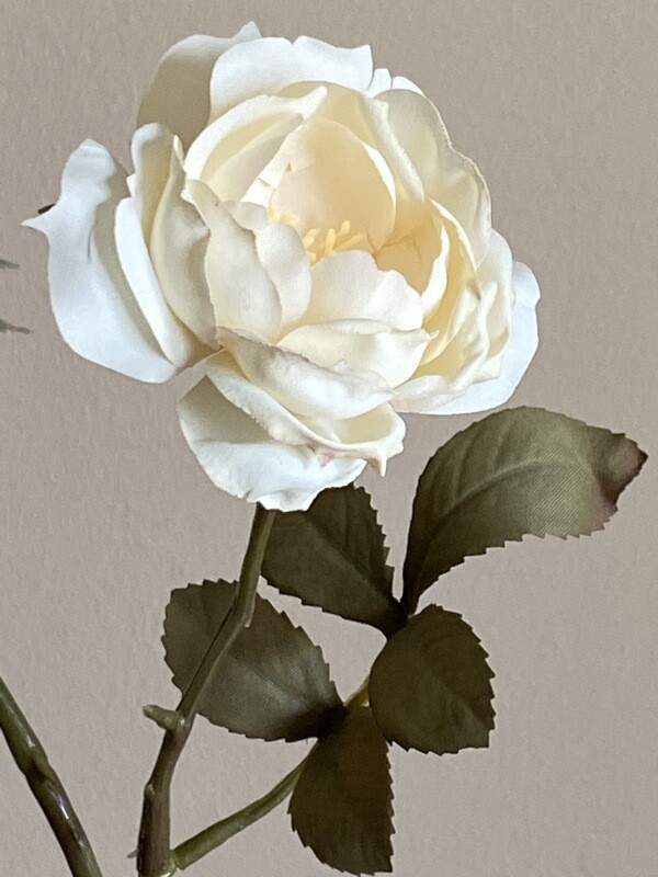 Bloem wit  58 cm