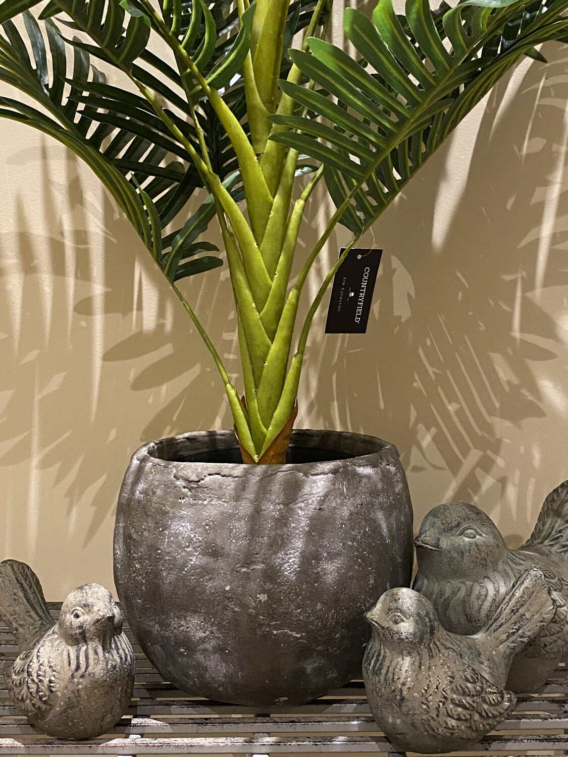 Sierplant palm 
80x70cm