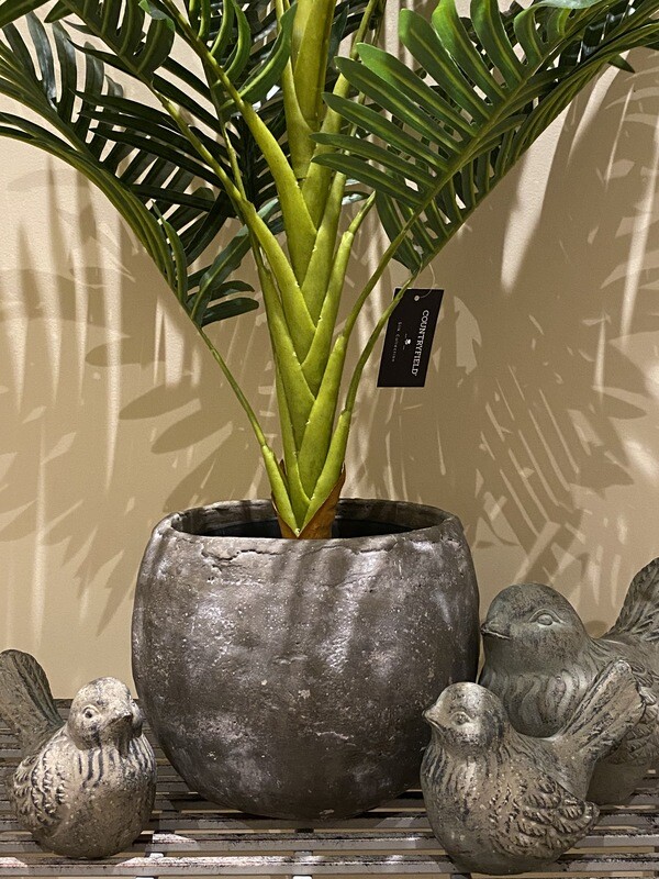 Sierplant palm 
80x70cm