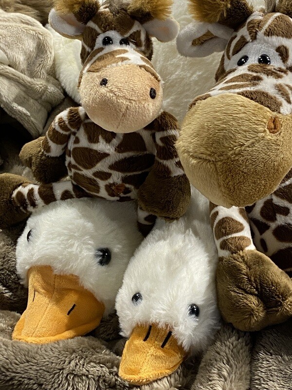 Knuffeleend 50 cm