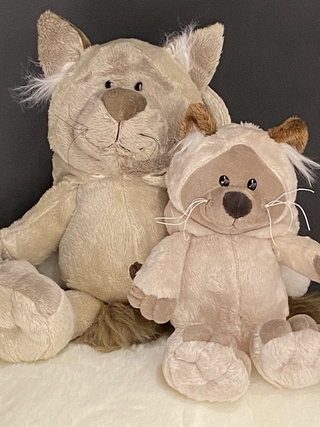 Knuffel kat 25 cm