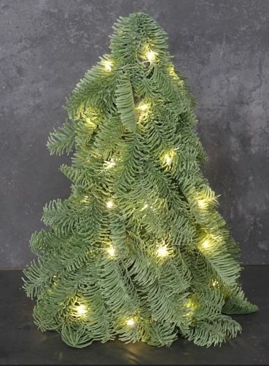 Nobilis boom klein 30cm hoog