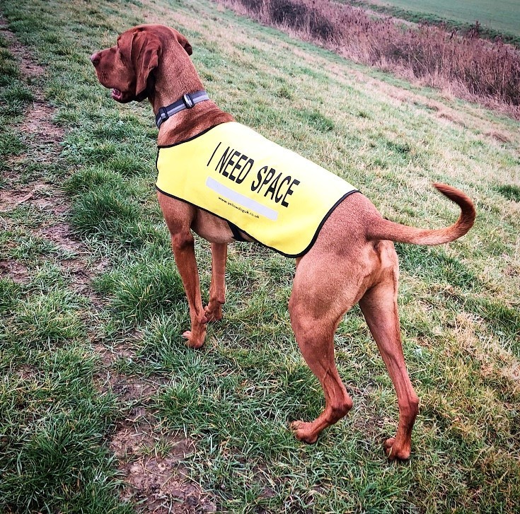I NEED SPACE™ Dog Vest