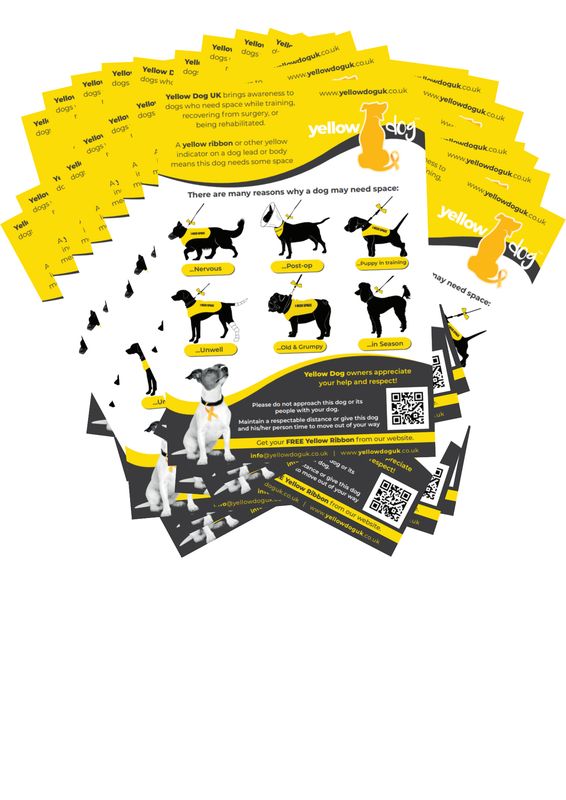 100 Yellow Dog UK Leaflets