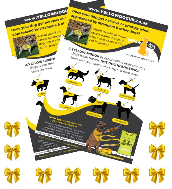 Posters & Ribbons Bundle