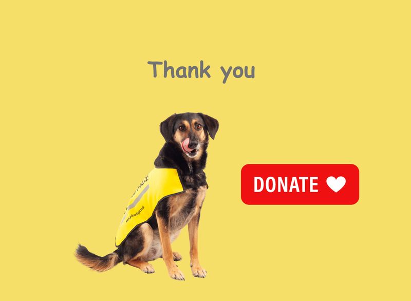 Donate