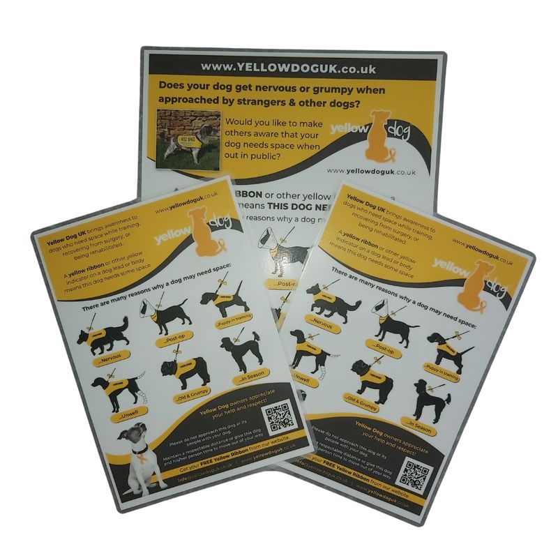Laminated Waterproof Posters and Leaflets