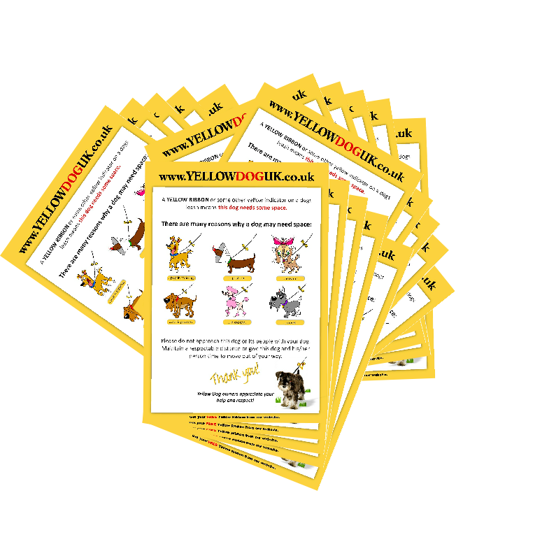100 Yellow Dog UK Leaflets