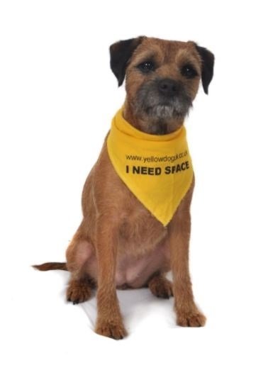 I NEED SPACE™ Dog Bandana