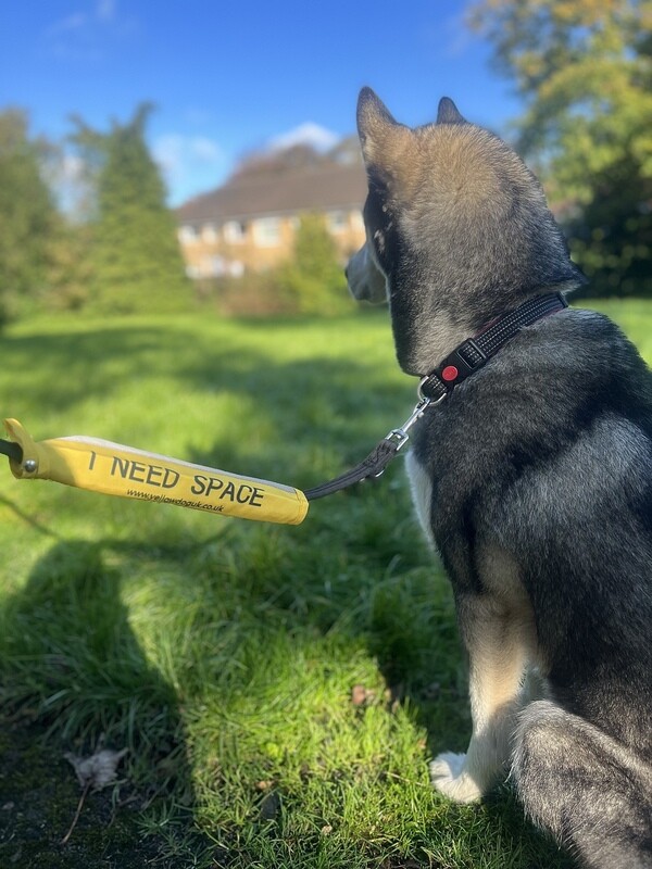 I NEED SPACE™ Lead Cover