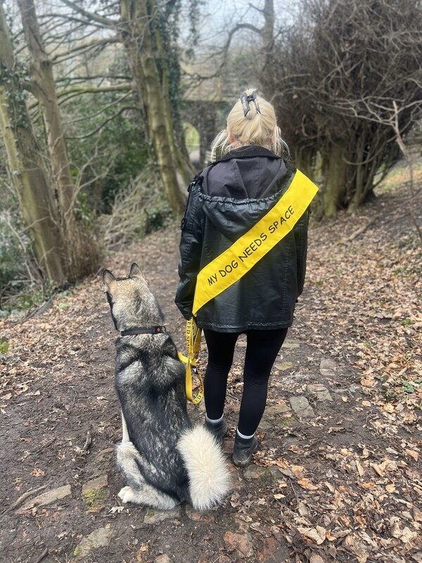 MY DOG NEEDS SPACE™ Adult Washable Sash