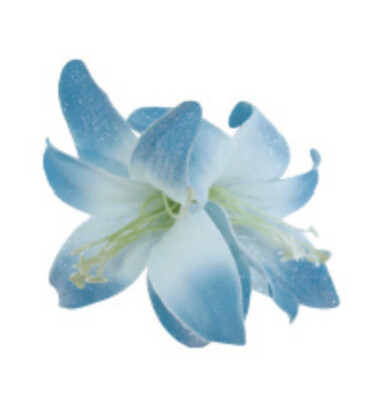 WS Haarblüte Blue Double Lily Satin