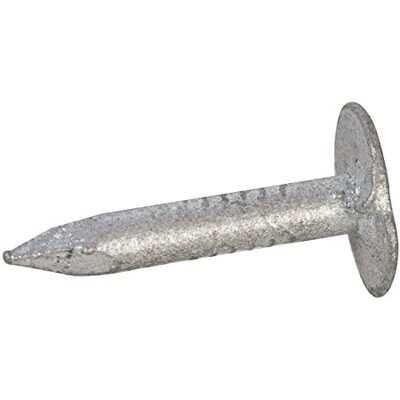 500gm 13mm Extra Large Head Galvanised Clout Nails