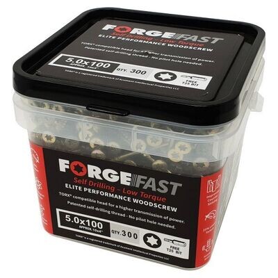 ForgeFast Torx Comp ZY 5x100 Tub 300