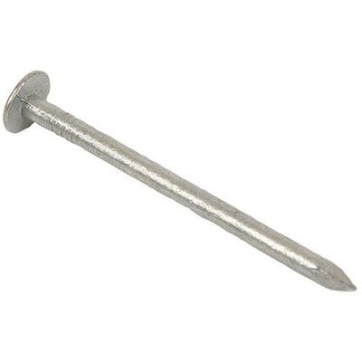 Galvanised Clout Nails