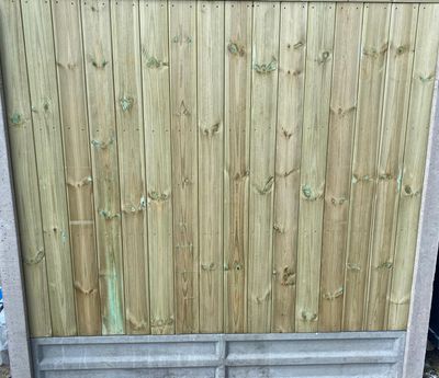 Premier Tongue & Grooved Slatted Fence Panels