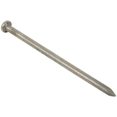 50mm x 2.65mm Galvanised Round Wire Nail 0.5kg Pack