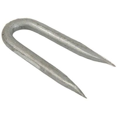 30mm Galvanised Staples 0.5kg Pack