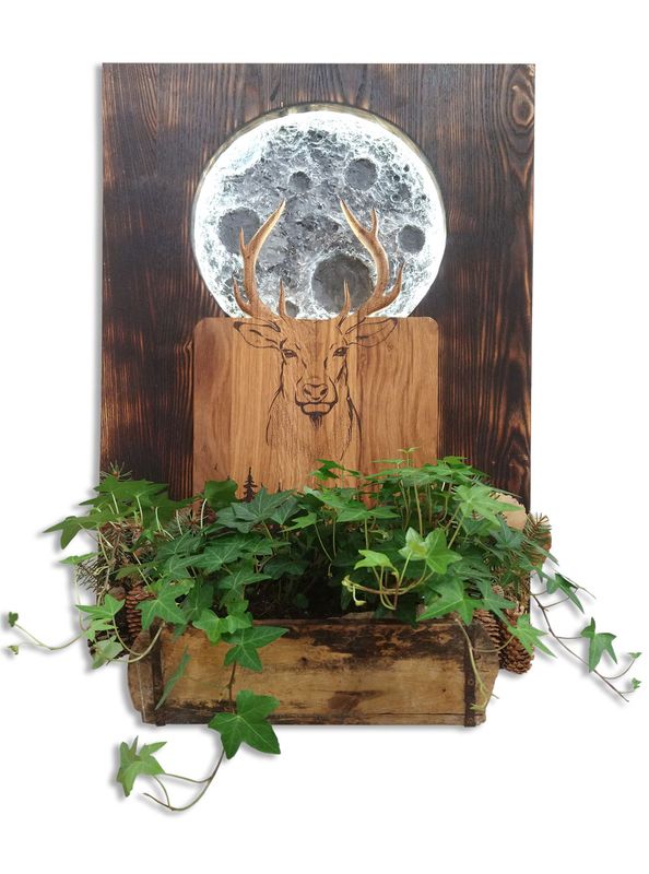 Objektbild "Hirsch - Mond - Natur"