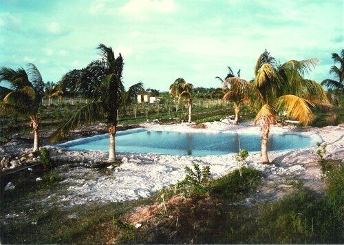 48' x 100' Pond Liner - 25-mil Brownstone