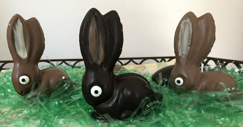Long- Eared Bunnies